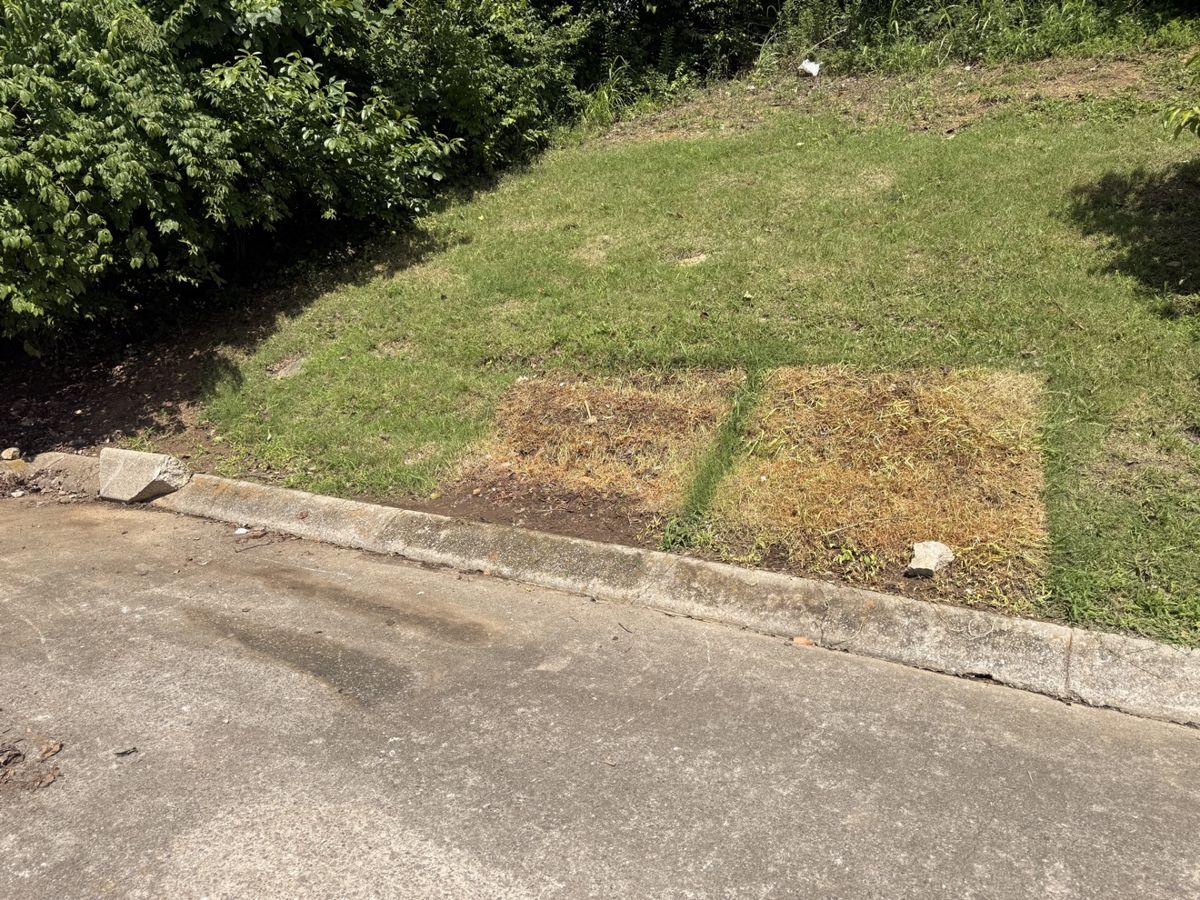 After: dumpster overflow cleanup finished, concrete pad clean in Middle Tennessee